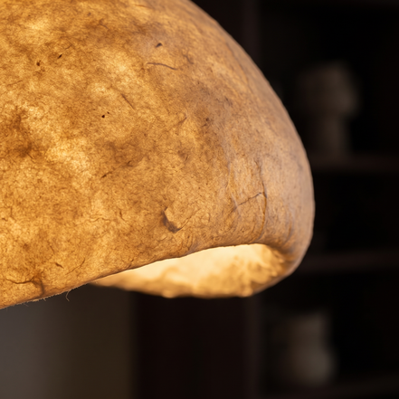 Zenora chandelier sculpted surface close up