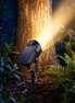 Aurex solar zoom spotlight uplighting a tree